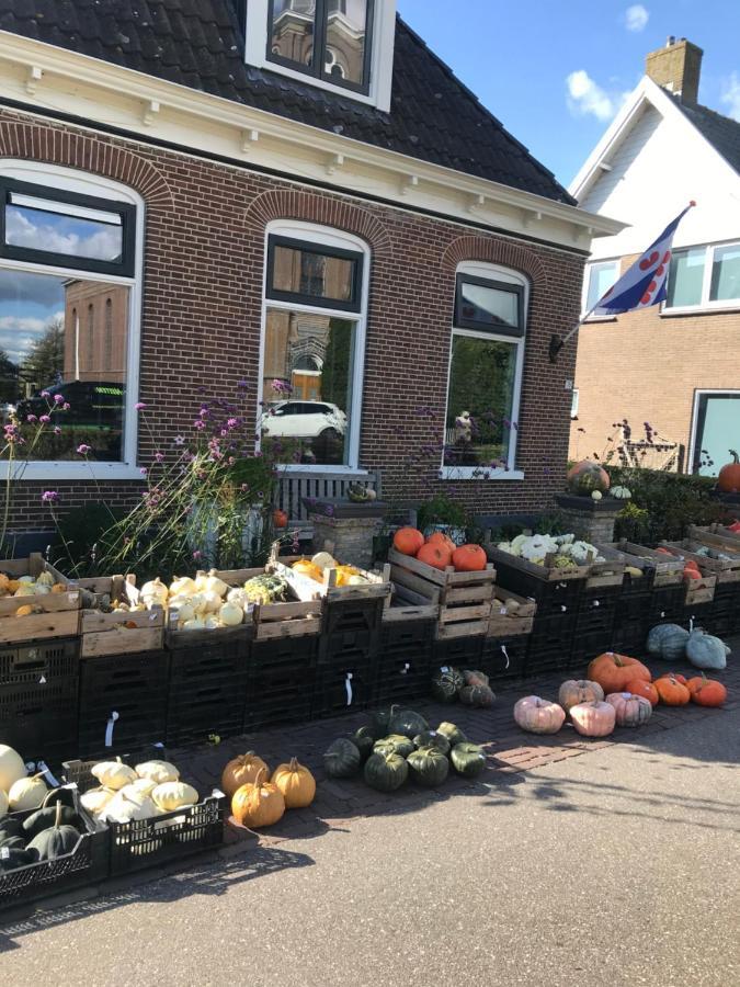 Bungalow kleine Deichperle, renoviert November 2021 Lemmer Exterior foto